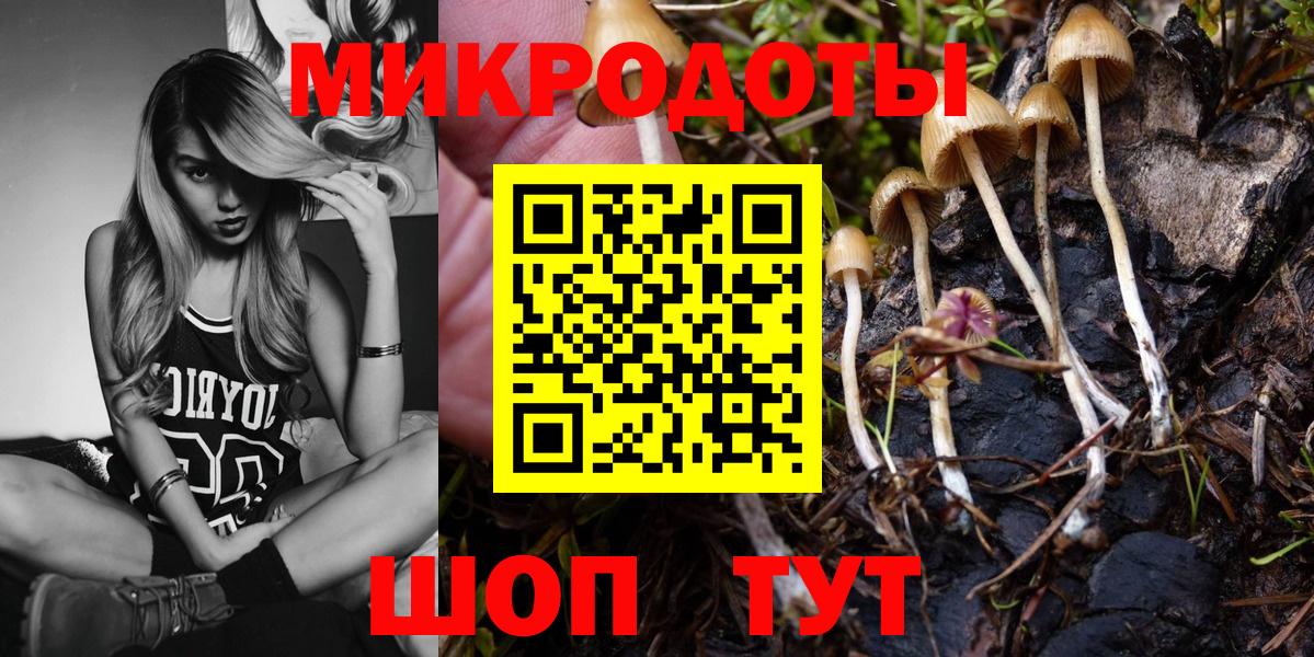 Бахчисарай  Псилоцибиновые грибы мицелий  Вход с VPN 